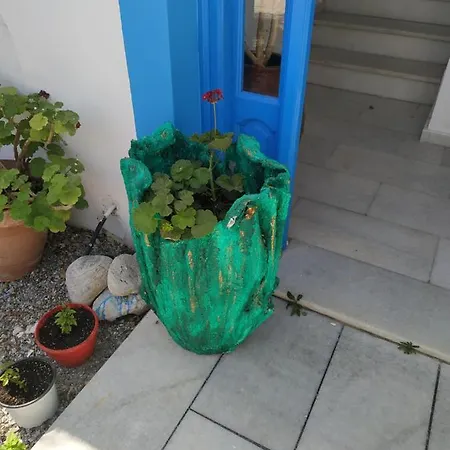 Vitzileos Apartament *