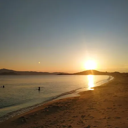 Vitzileos Apartament