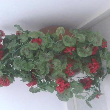 Apartament Vitzileos *