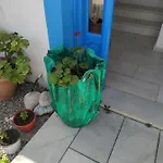 Vitzileos דירה *