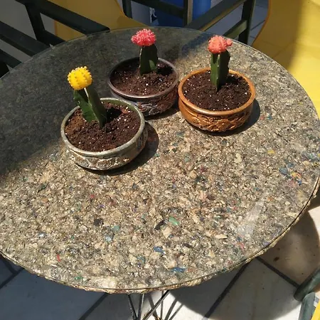 Vitzileos Apartamento Agios Prokopios (Naxos)