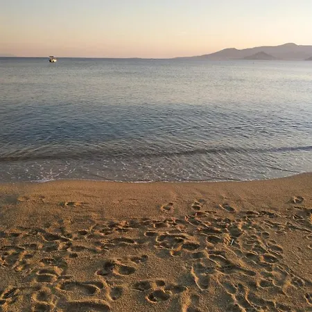 Vitzileos *