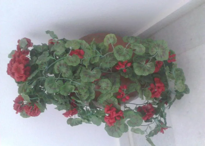 Appartement Vitzileos *